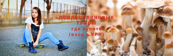 молекула духа Аркадак